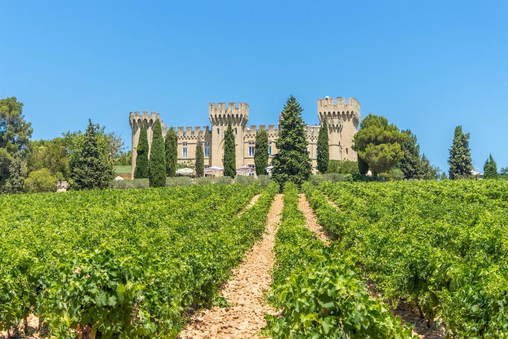 Hostellerie du Château des Fines Roches Châteauneuf-du-Pape Exterior foto